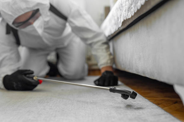 Professional Termite Control technician working in Decatur, TX