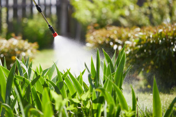 24/7 Emergency Termite Control experts in Decatur, TX